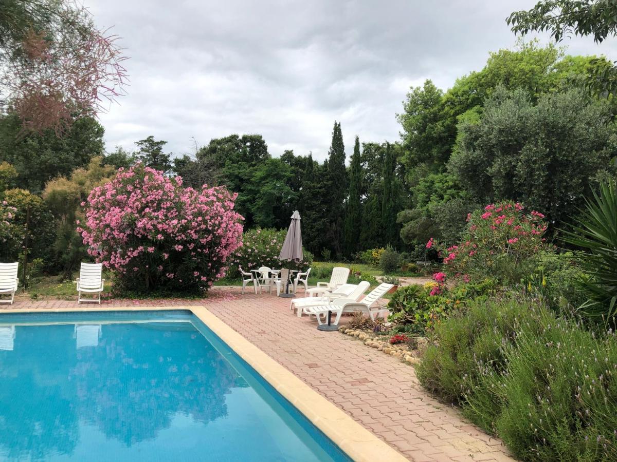 Duplex 130M2 Dans Un Mas Entoure De Vergers - Piscine Saint-Feliu-d'Avall Exterior foto