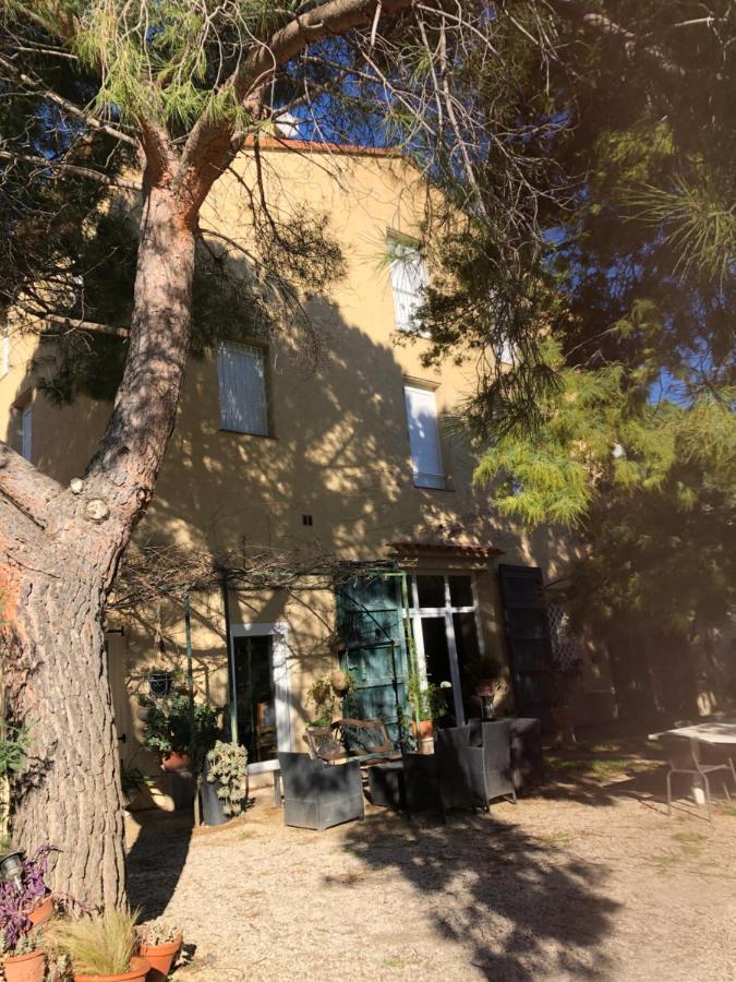 Duplex 130M2 Dans Un Mas Entoure De Vergers - Piscine Saint-Feliu-d'Avall Exterior foto